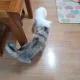 뽀루미우네house