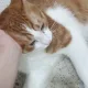 갠역시