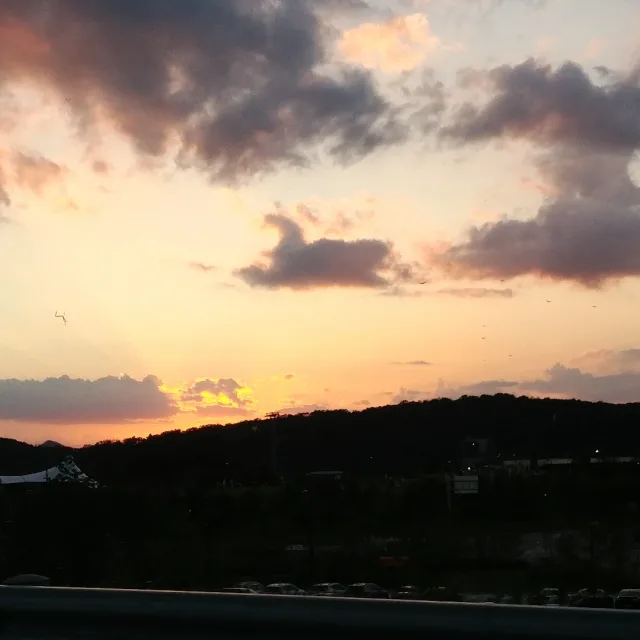 띵동