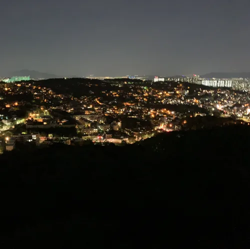 둔둔못날다람쥐