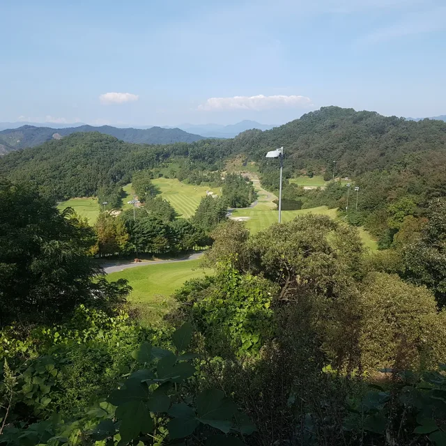 동네언니