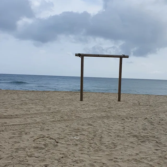비움신
