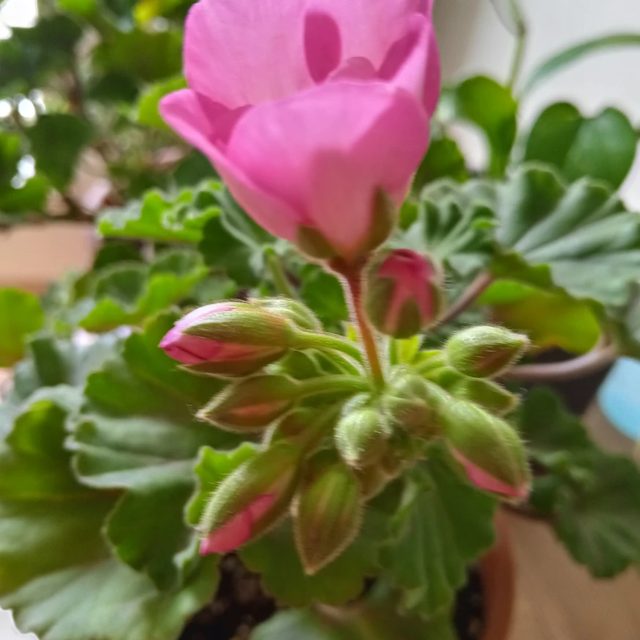 리뷰 프로필 이미지