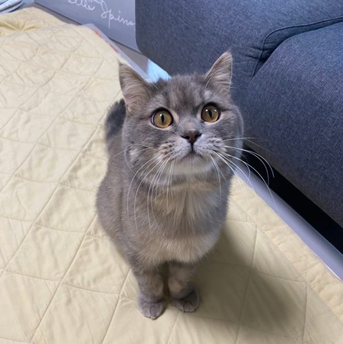 영등포주민