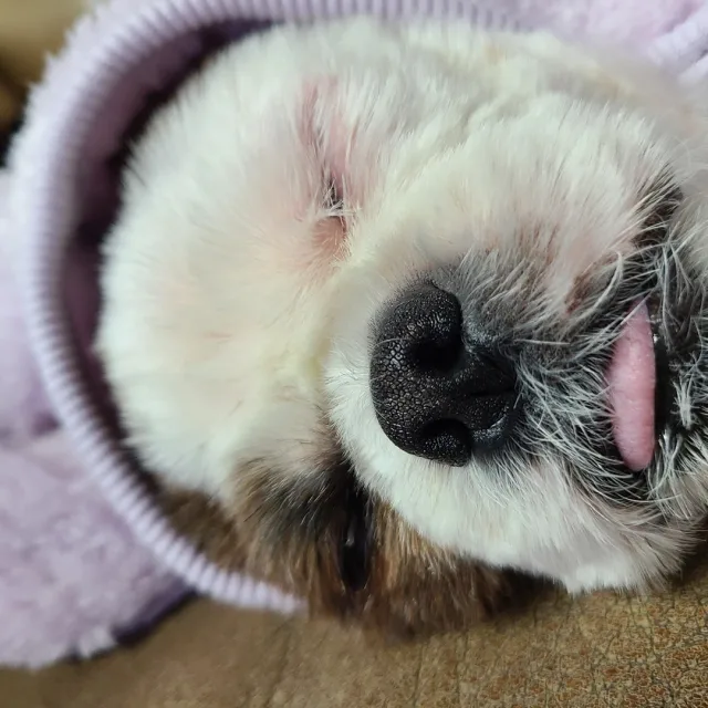 푸른바다