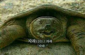 우오아앙아