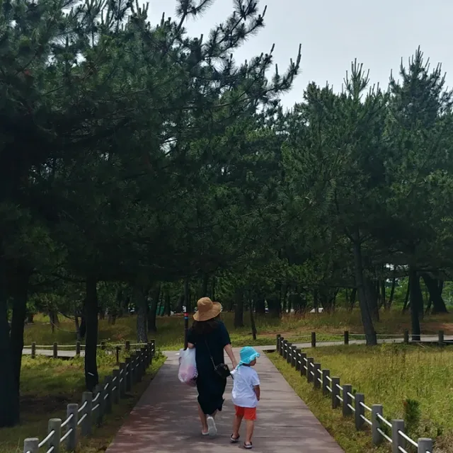 라테브라운
