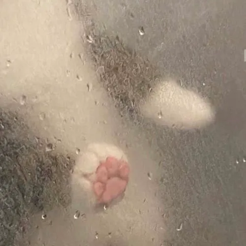 디아오