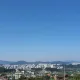매너거래