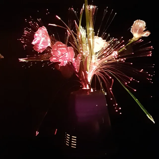 제비