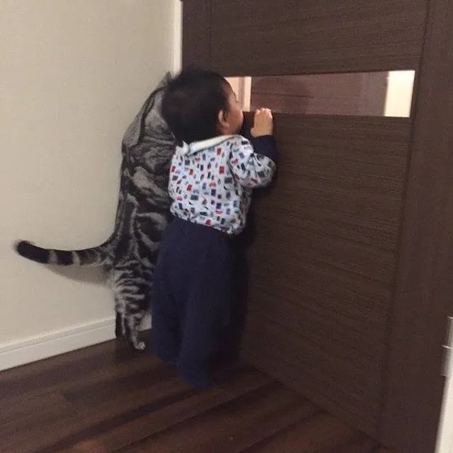 쿠크다스
