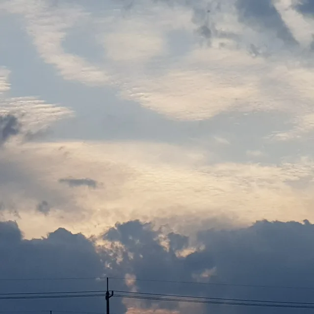 당근고수