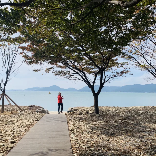 설이언니