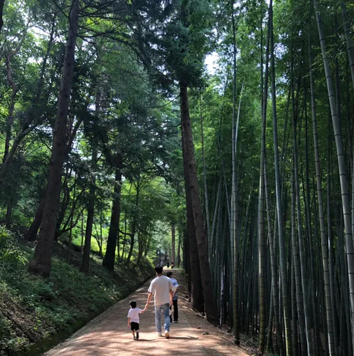검정티티새