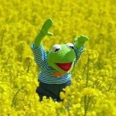 반디