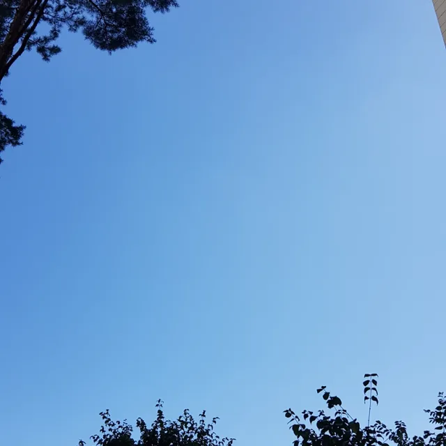 사랑