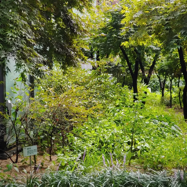 바사