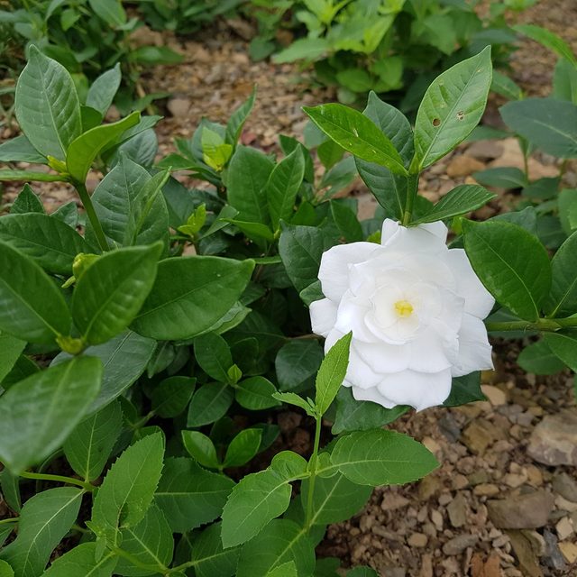 이쁜게죄야