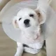 몽이네집
