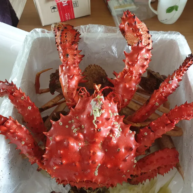 해피데이