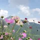 수정심
