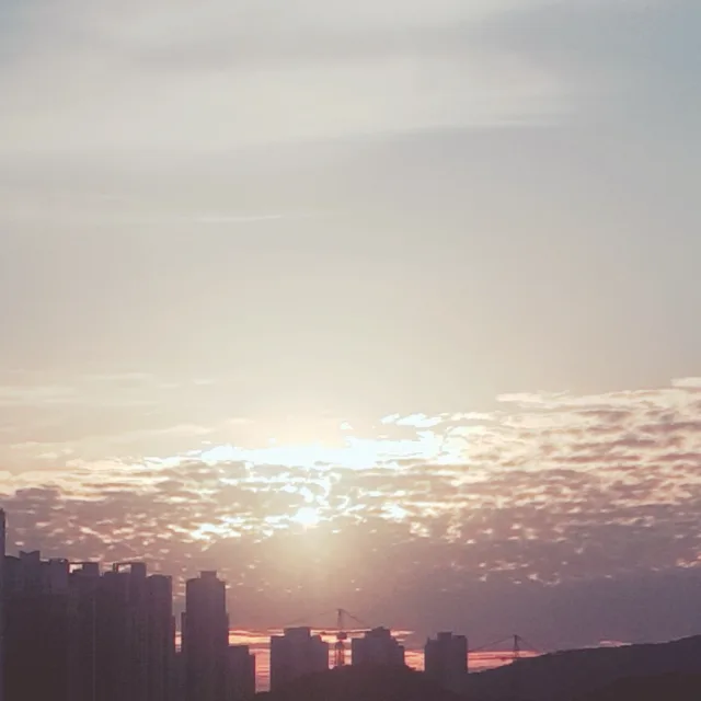 괭이