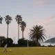 슈기
