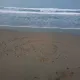 한방포착