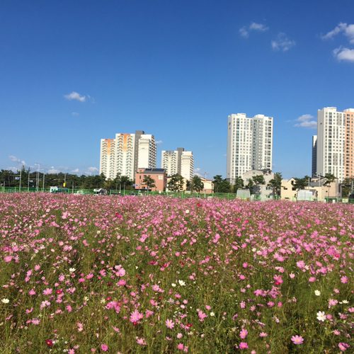 윰윰