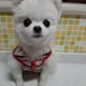 형곡몽이