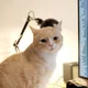 누룽이