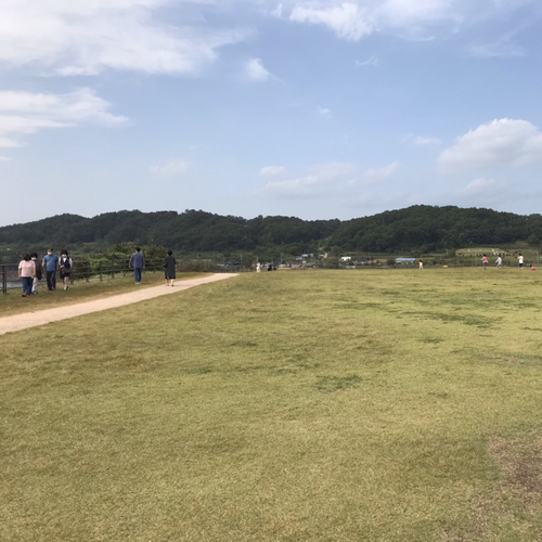 황금샴페인