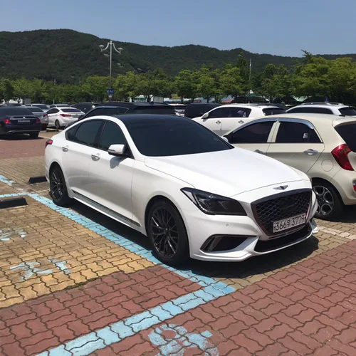 부산대삼한