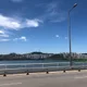 허니비