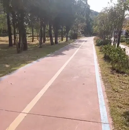 김알리