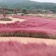 신뢰만족