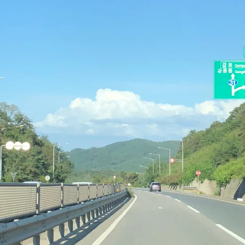 냥냥뇽뇽