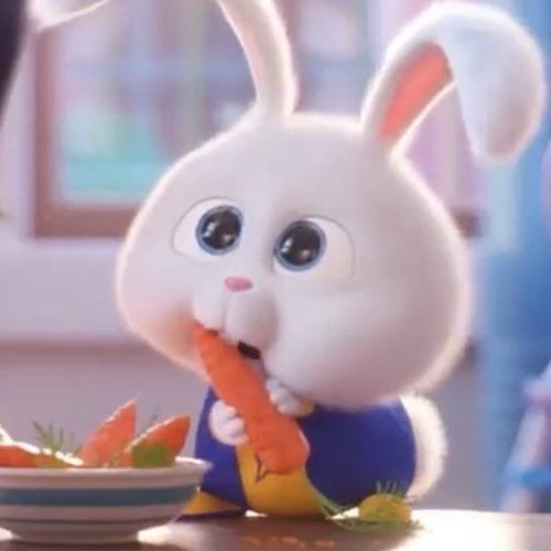 당근냠냠