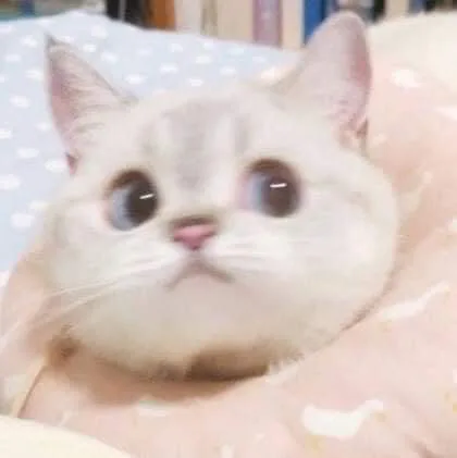 믿고사세용
