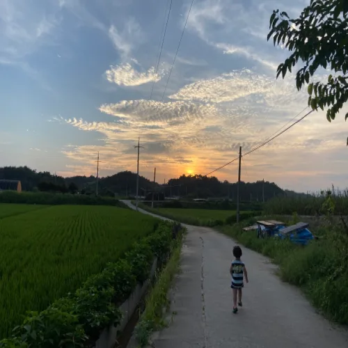 정리의달인