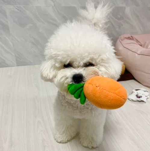 당근파머