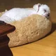 보니하니
