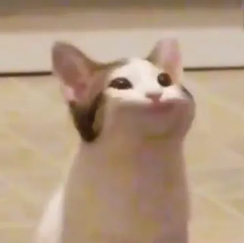 에크