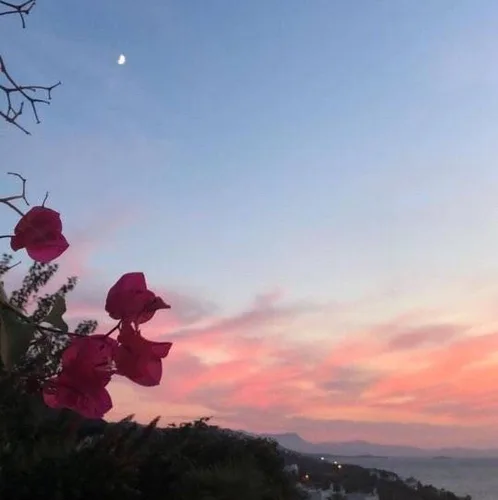 제이제이