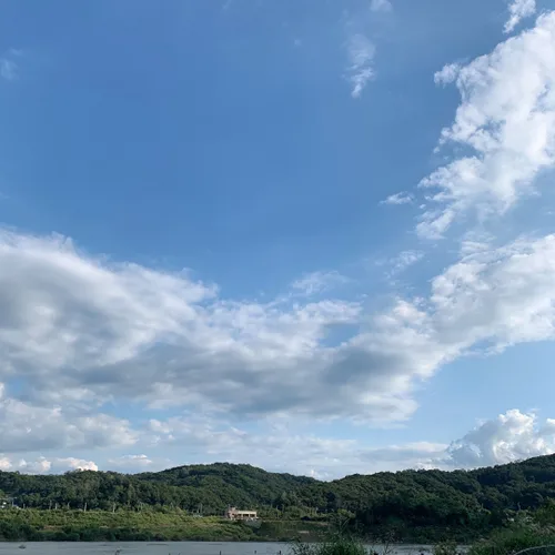 수수옥수수