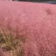 체형관리사김혜옥
