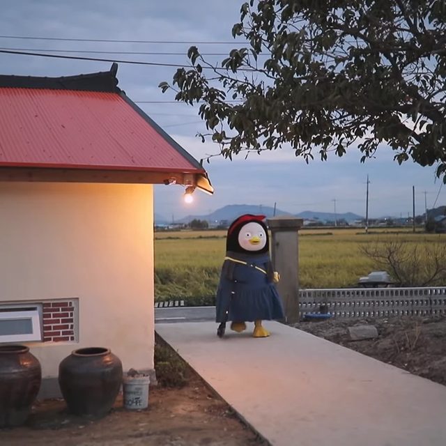 호야
