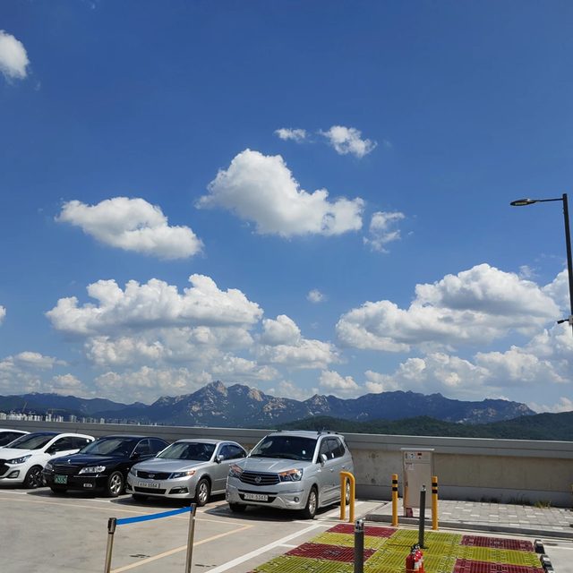 조피디프로필 사진