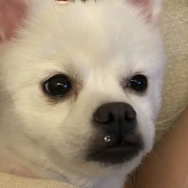 줍이