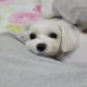 합정동반토막